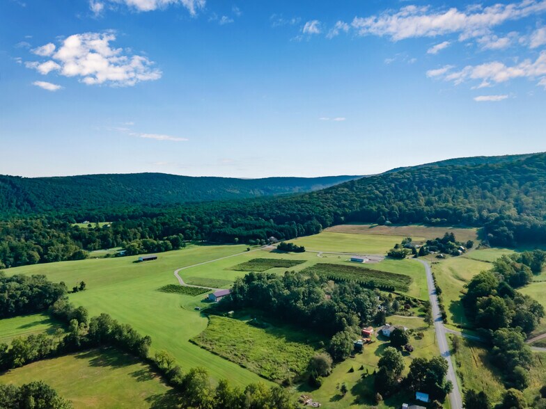 More Photos Of 596 Harman Rd, Halifax Winery Vineyard For Sale