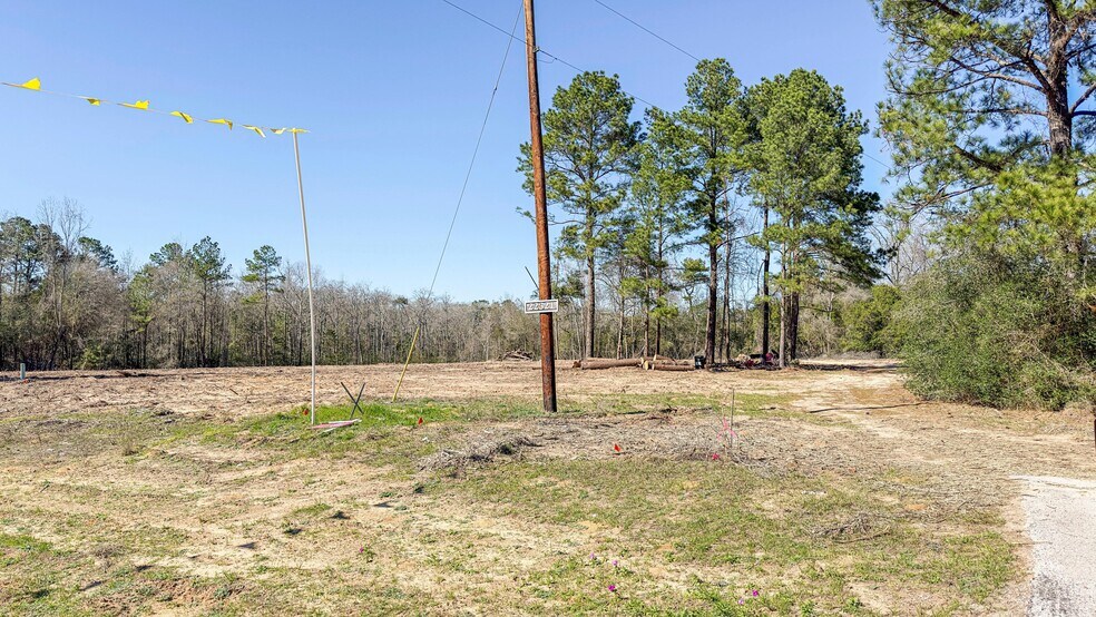 More Photos Of TBD Highway 105, Cleveland Land For Lease