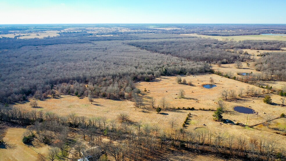 Primary Photo Of 1200 County 1255 rd, Detroit Land For Sale