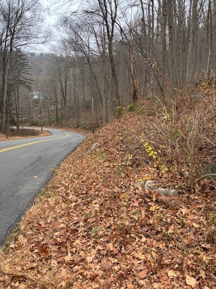 More Photos Of 88 Wiccopee Rd, Putnam Valley Land For Sale