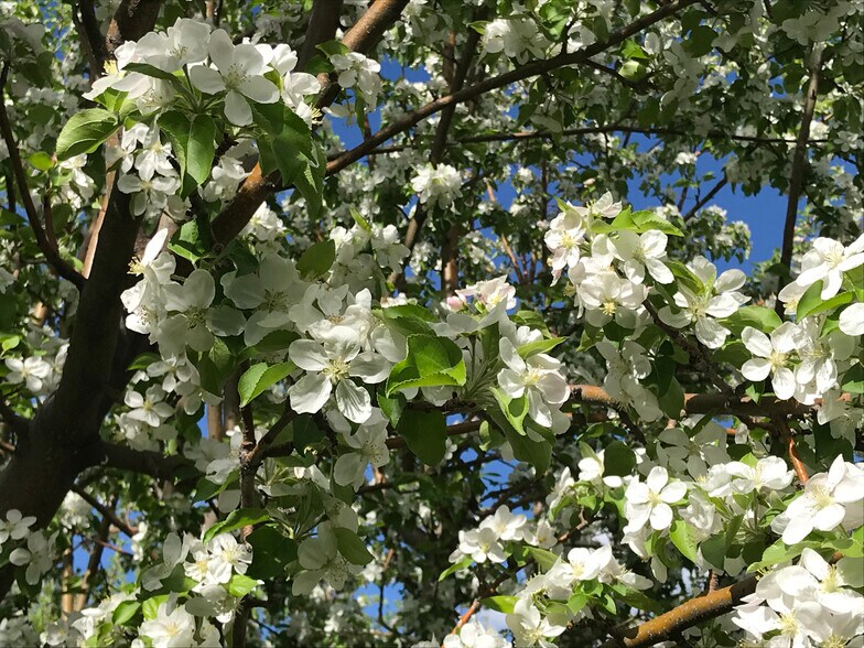 More Photos Of 157 Hergenrider Rd, Bridger Land For Sale