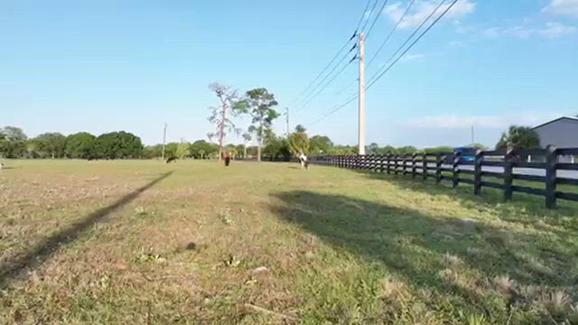 More Photos Of 15871 N River Rd, Alva Land For Sale