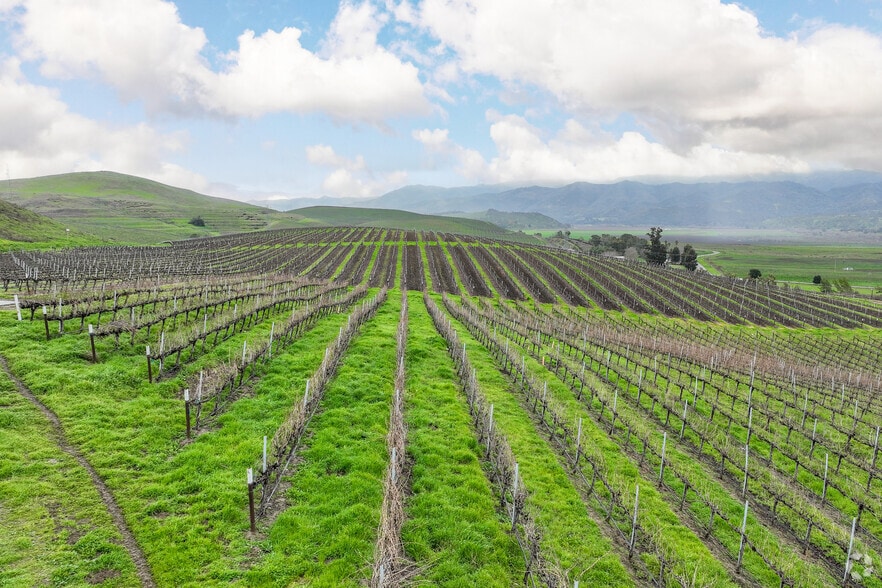 More Photos Of 12839 Airline Hwy, Paicines Winery Vineyard For Sale