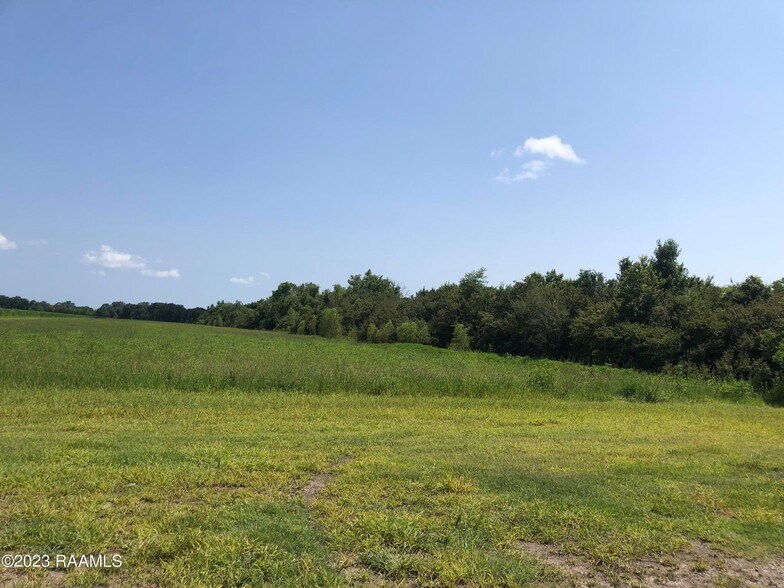 More Photos Of TBD Trahan Rd., New Iberia Land For Sale