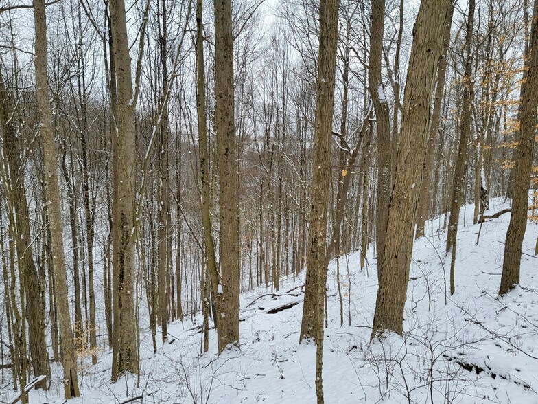 More Photos Of ,  Land For Sale