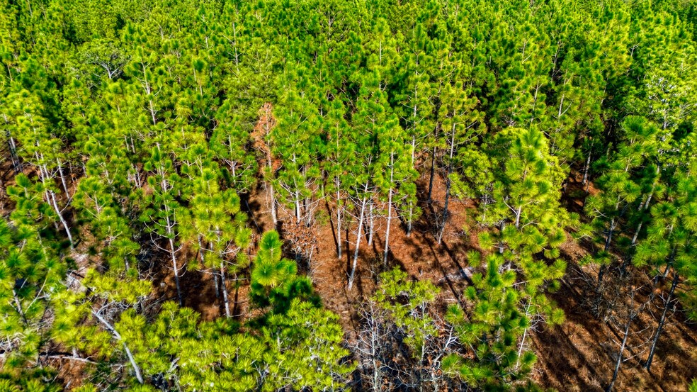 More Photos Of Highway 45, Loris Land For Sale