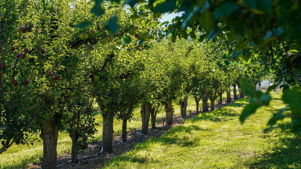 More Photos Of 3376 C Rd, Palisade Specialty For Sale