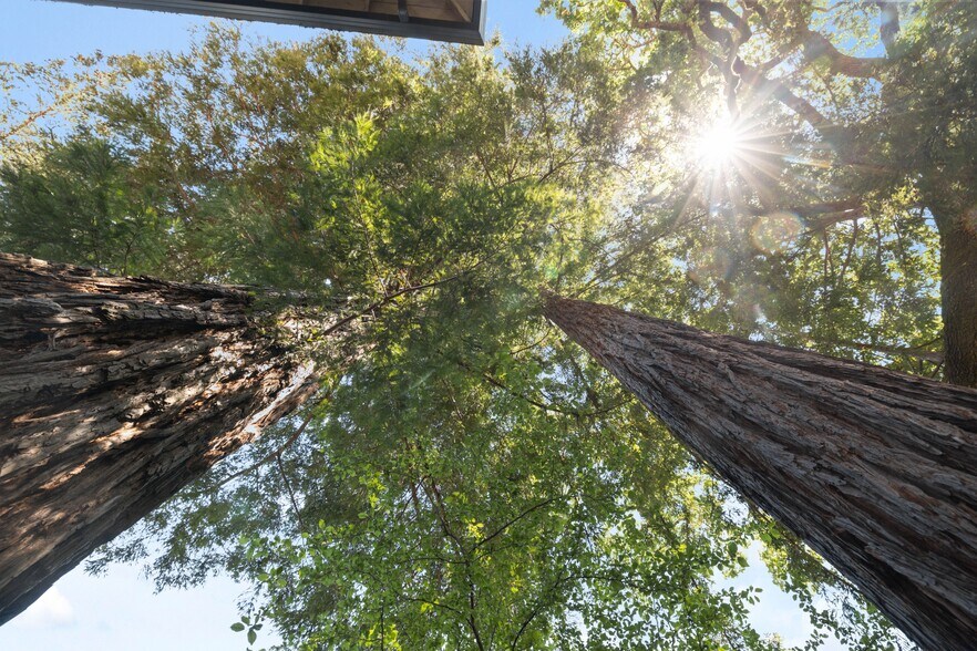 More Photos Of 4602 Scotts Valley Dr, Scotts Valley Apartments For Sale