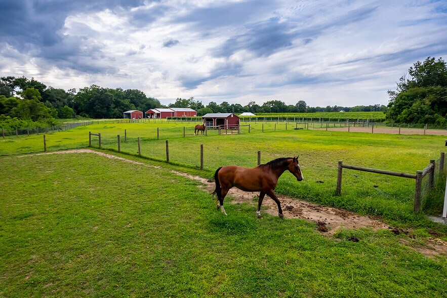 More Photos Of 314 Richwood Rd, Monroeville Winery Vineyard For Sale