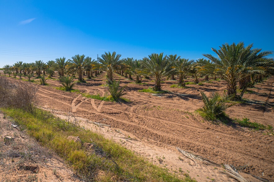 More Photos Of 17587 S Ave 3 1/2 E, Yuma Land For Sale