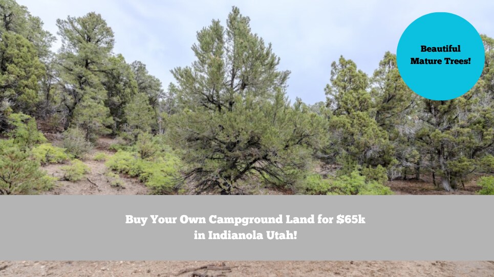 Primary Photo Of East Highway 89, Indianola Land For Sale