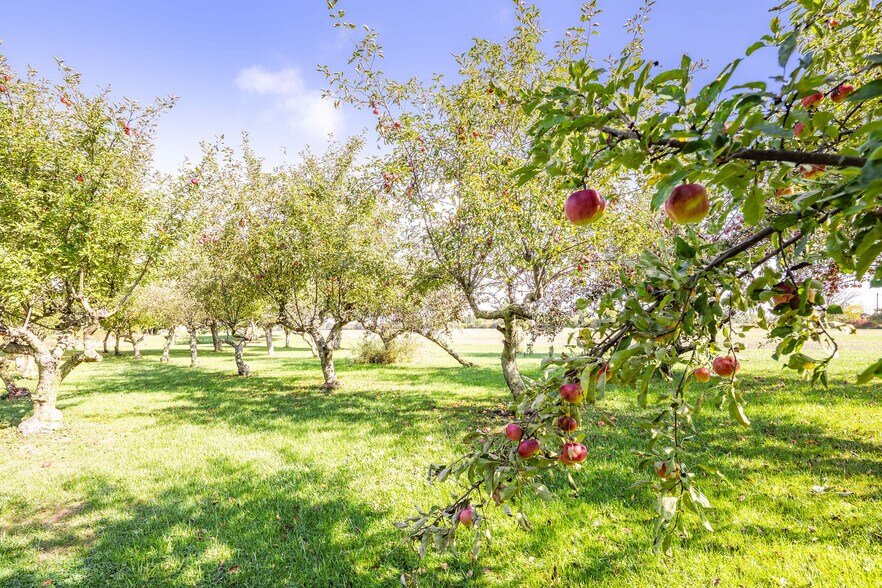 More Photos Of 2432 Seburn Rd, Thorold Land For Sale