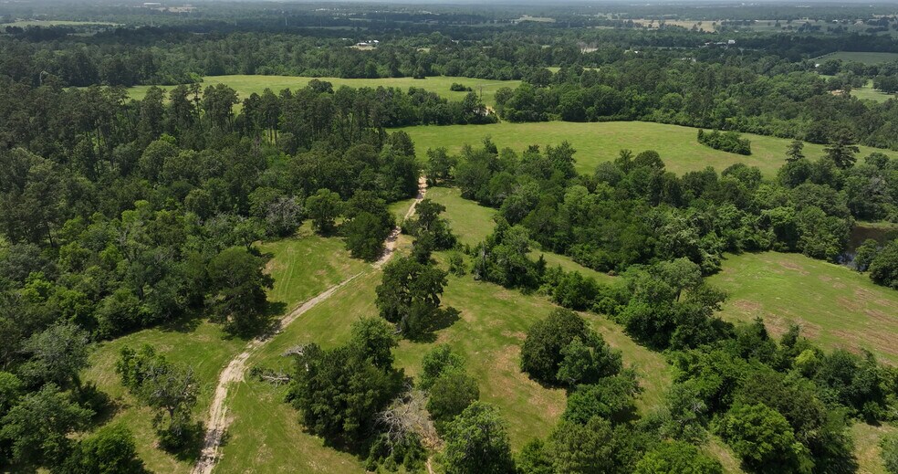 More Photos Of 2268 FM 1486, Montgomery Land For Sale