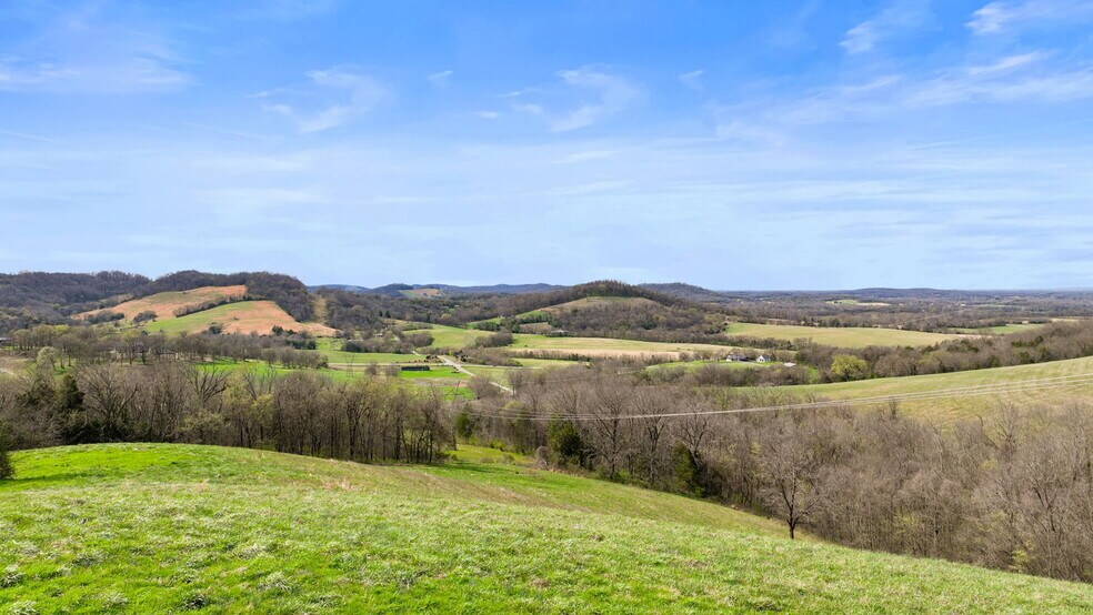 More Photos Of 0 McLaughlin Rd, Shelbyville Land For Sale