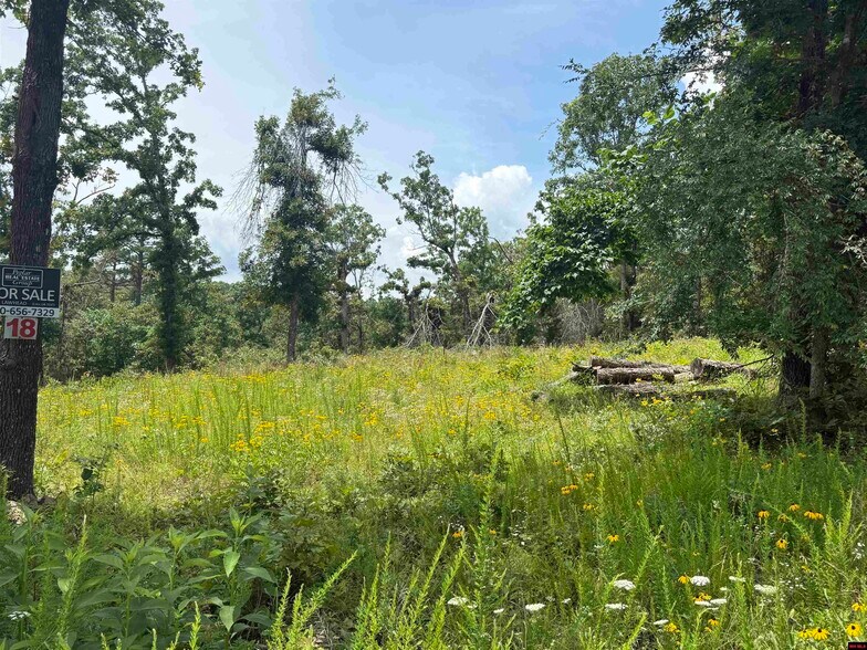 More Photos Of Lot 18 Rustic Ridge Dr, Mountain Home Land For Sale