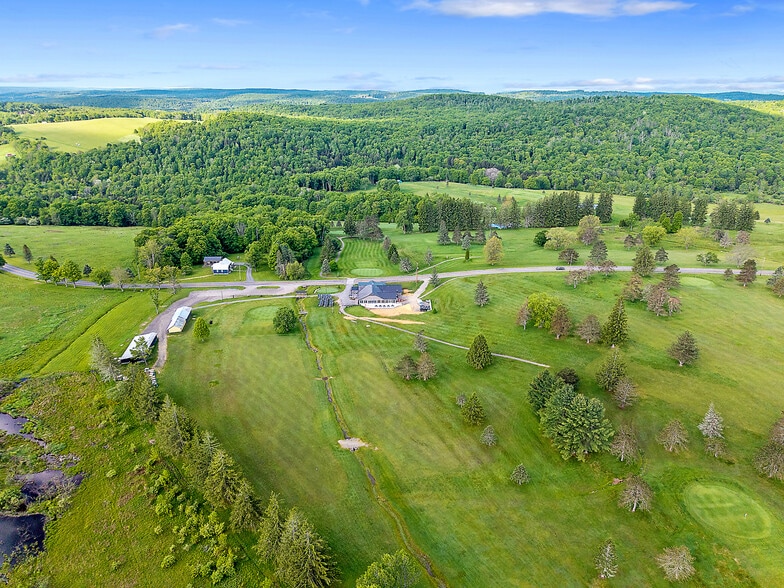 More Photos Of 5471 Telephone Rd, Cincinnatus Sports And Entertainment For Sale