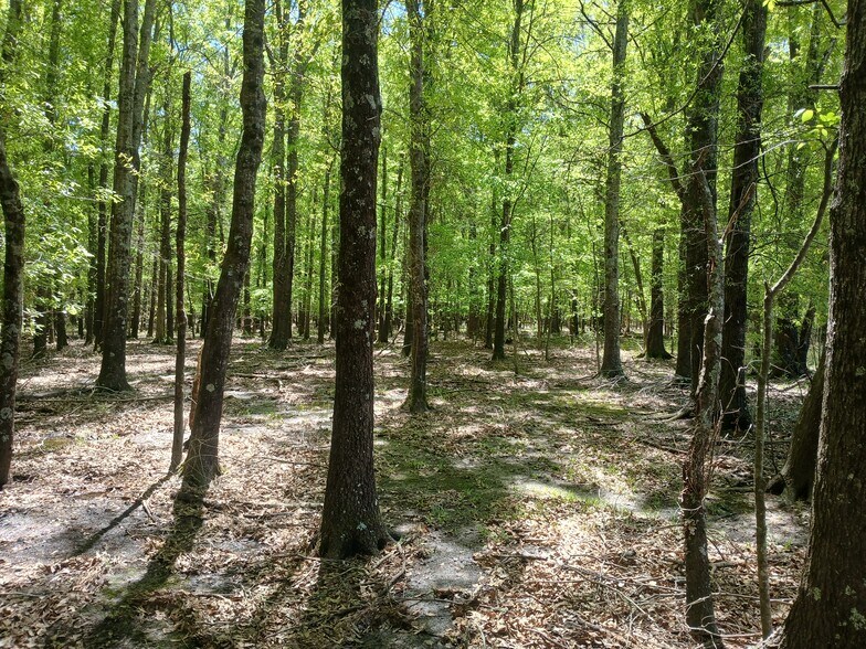 More Photos Of 414000 E 1920 Rd, Antlers Land For Sale