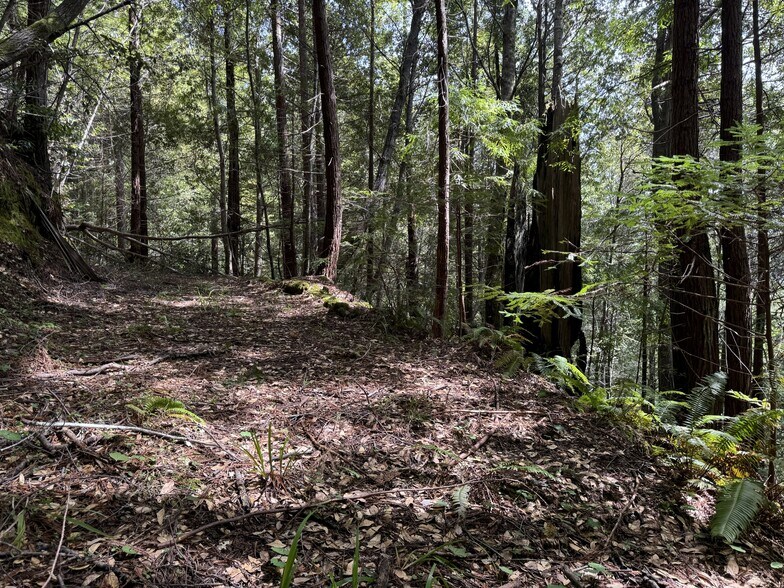 More Photos Of 23501 Branscomb Rd, Westport Land For Sale
