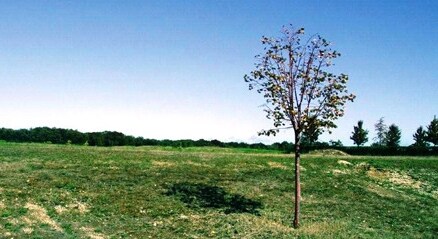 More Photos Of 374 Main Rd, Riverhead Land For Sale