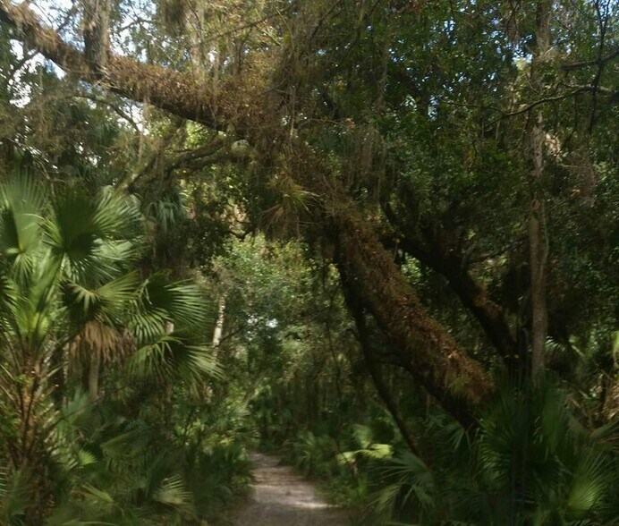 More Photos Of 3893 NW 50th Drive, Okeechobee Land For Sale