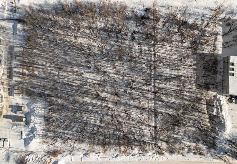 More Photos Of 7600 Blvd Payer, Saint-hubert Land For Sale