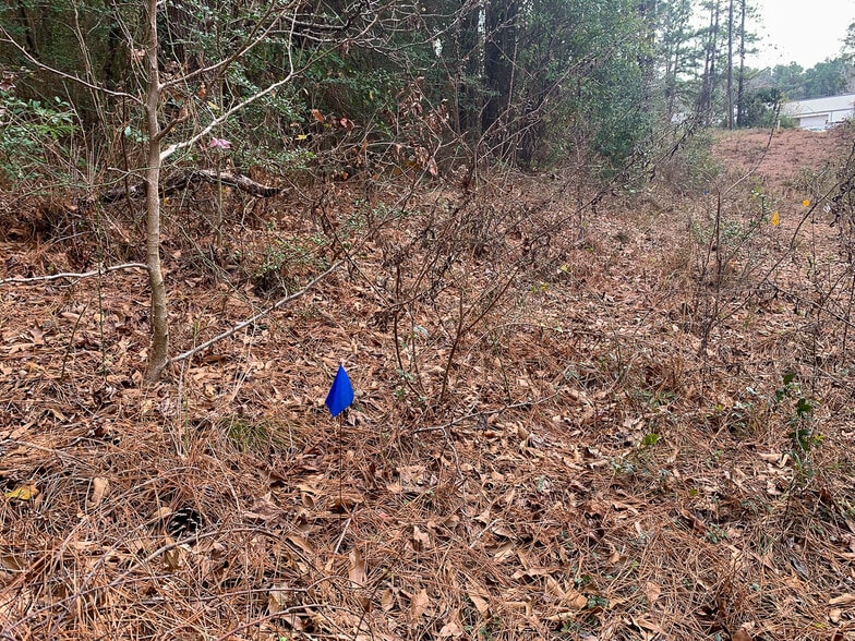 More Photos Of Highway 190, Huntsville Land For Sale