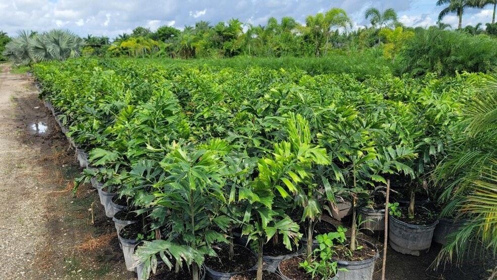 More Photos Of SW 172 ST, Miami Land For Sale