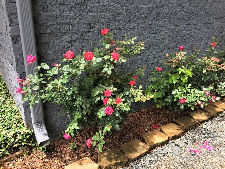 More Photos Of 1223 Walnut St, Cary Office For Lease