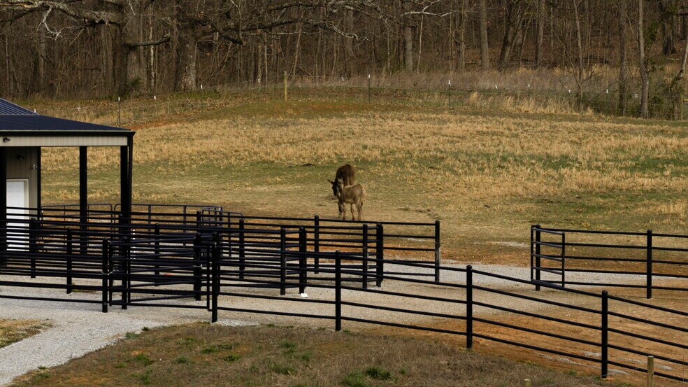 More Photos Of 1185 Jack Smith Rd, Rockfield Land For Sale