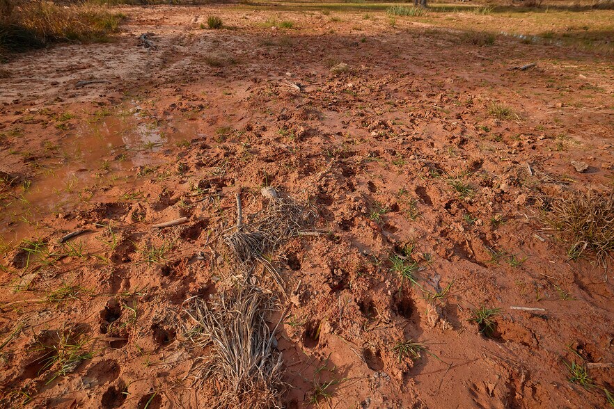 More Photos Of 480 Martin Rd, Cotton Valley Land For Sale