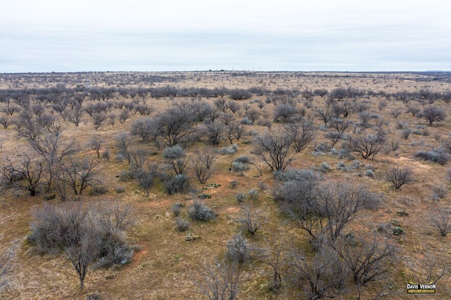 More Photos Of US Hwy 283 & I-20, Baird Land For Sale