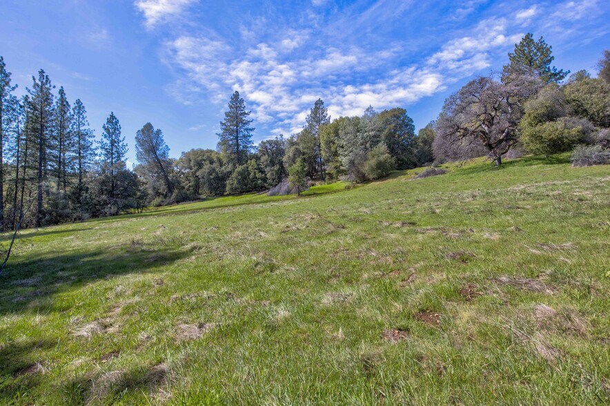 More Photos Of 18800 Charleston Rd, Volcano Land For Sale