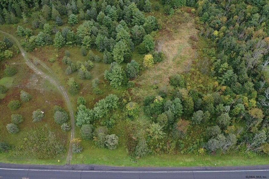 More Photos Of 9676 US-9W, Athens Land For Sale