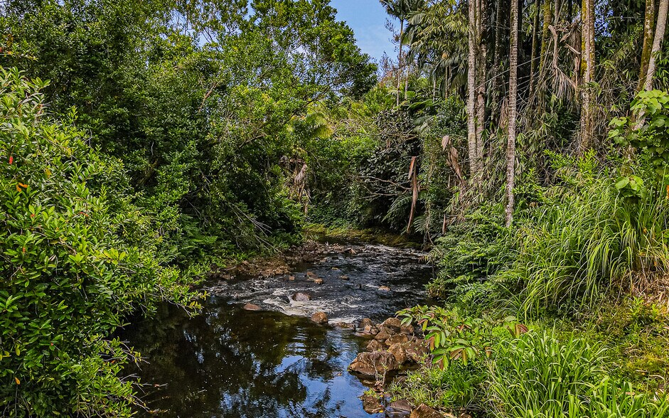 More Photos Of 27-2760 Hawaii Belt Rd, Pepeekeo Land For Sale