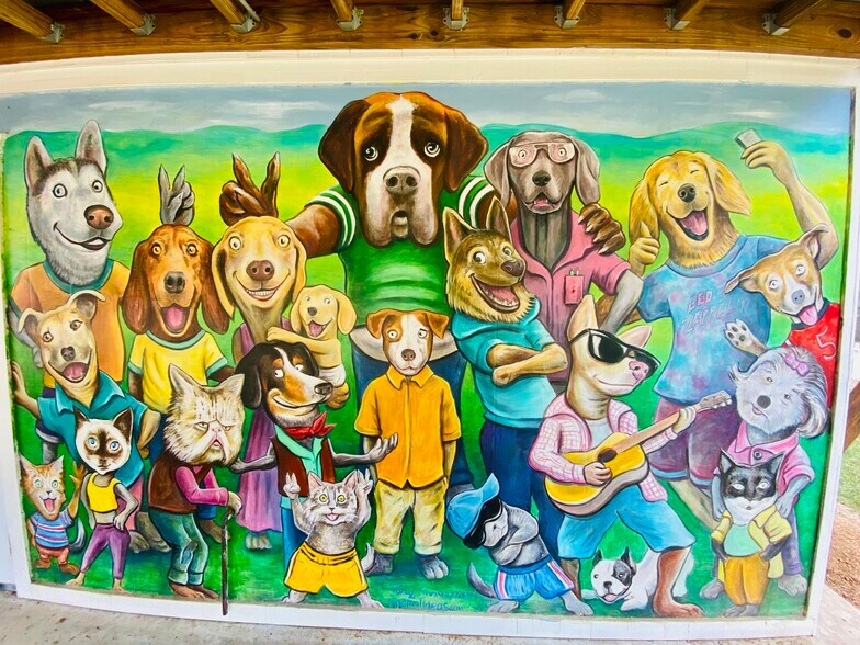 More Photos Of 104 Scudder Ln, Wimberley Hotel For Sale