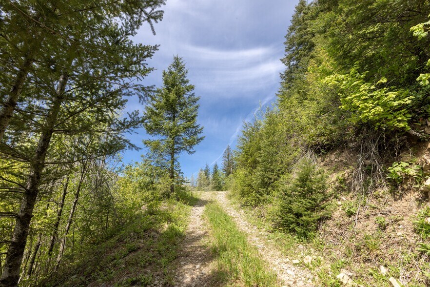 More Photos Of 0 Snag Mountain Road, Washougal Land For Sale