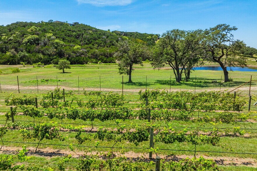 More Photos Of 5081 Bandera Hwy, Camp Verde Winery Vineyard For Sale