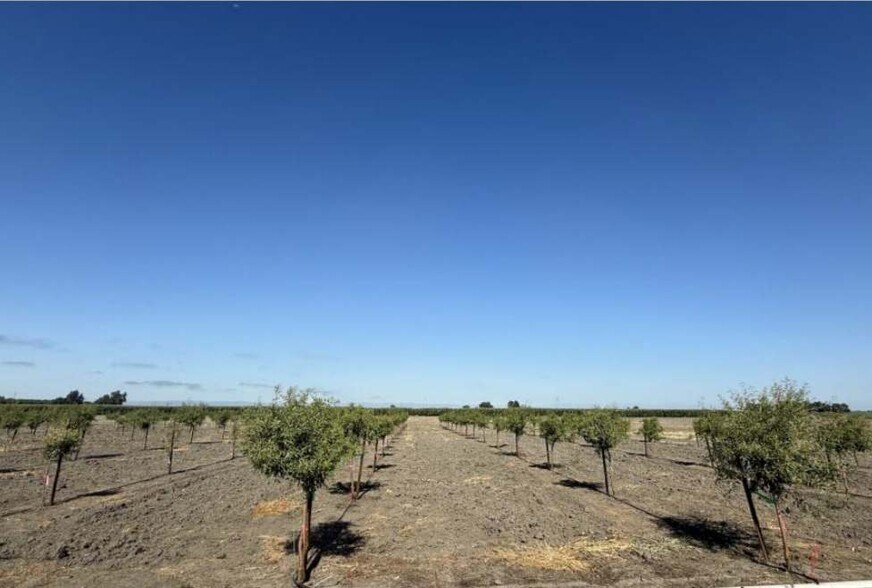 More Photos Of Fruchtenicht @ Wilson Bend Rd, Meridian Land For Sale