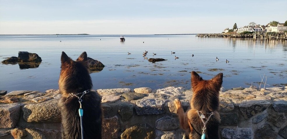 More Photos Of 119 Water St, Stonington Apartments For Sale