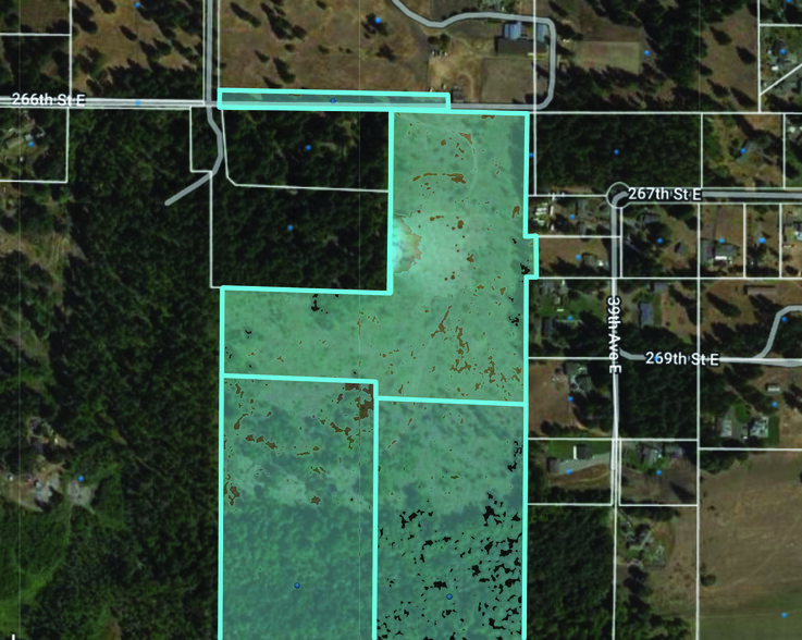 Primary Photo Of 260th St @ 34th Ave, Spanaway Land For Sale