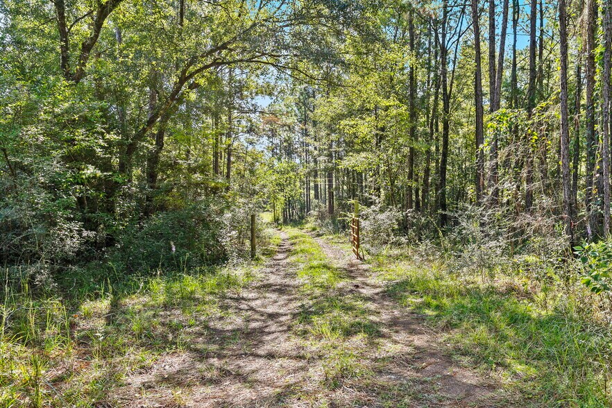 More Photos Of 0 Nokomis Road, Walnut Hill Land For Sale