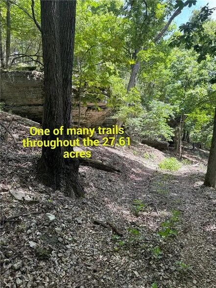 More Photos Of 190 Edgewater Dr, Eureka Springs Land For Sale