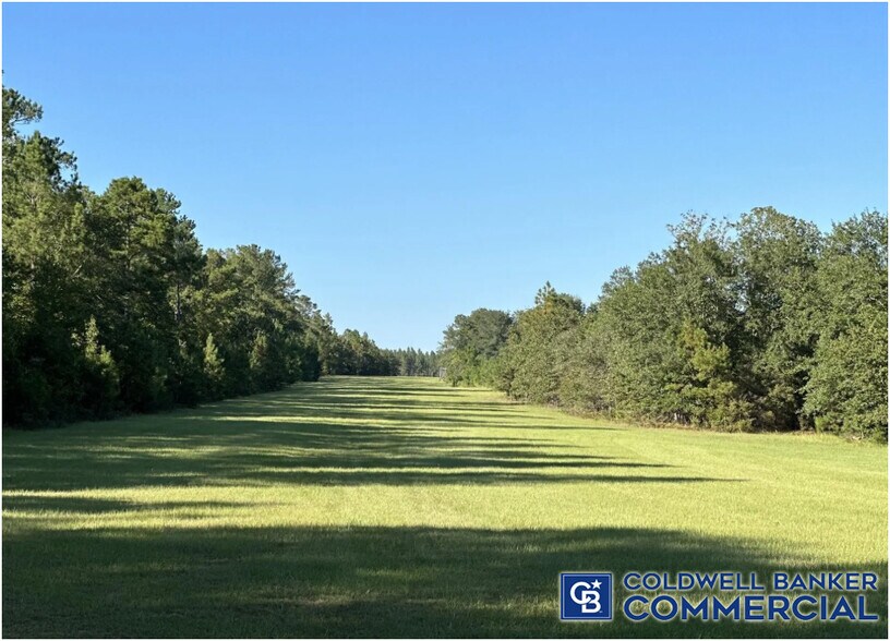 More Photos Of 1340 Clayton Rd, Ridge Spring Land For Sale