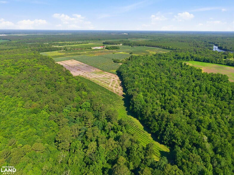 More Photos Of 5478 Halfway Branch School rd, Ivanhoe Land For Sale
