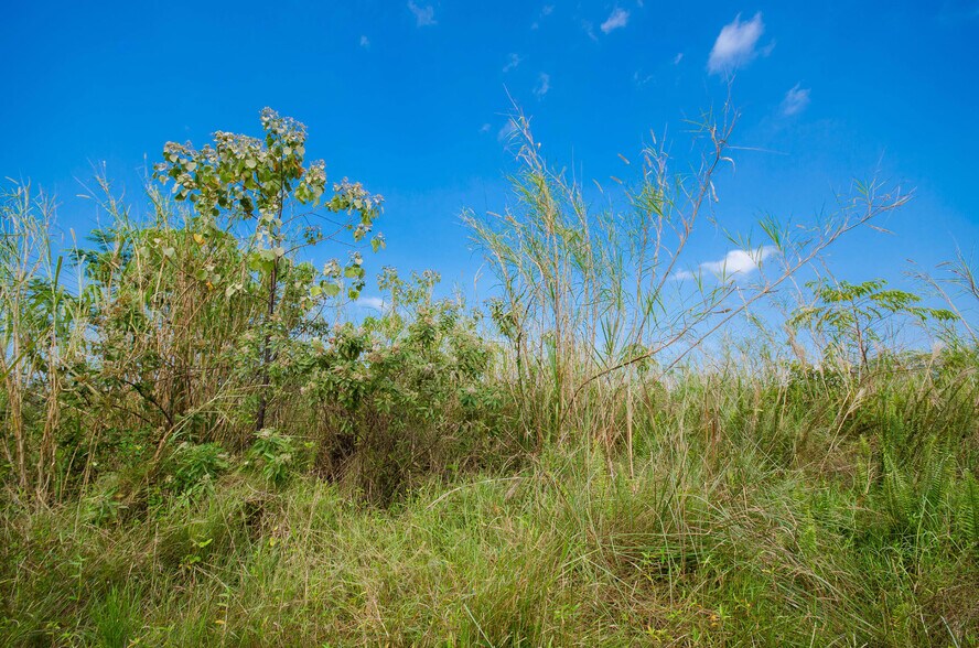 More Photos Of 15-2815 Pahoa Village, Pahoa Land For Sale