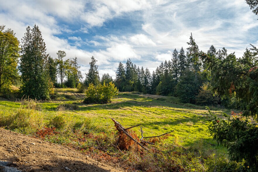 More Photos Of 0 Salzer Creek (was Fair St), Centralia Land For Sale