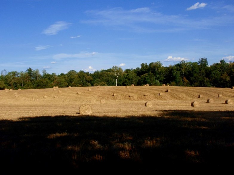 Primary Photo Of 4290 Red Cedar Rd, Gibsonville Land For Lease