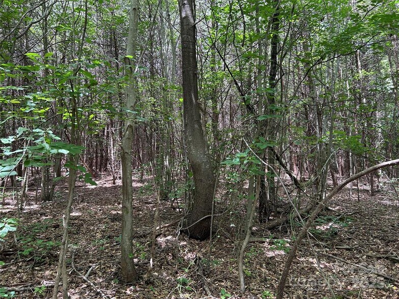 More Photos Of 00 Gastonia Highway, Lincolnton Land For Sale