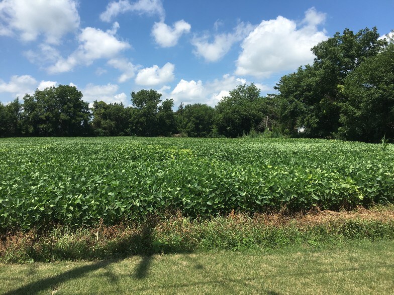 More Photos Of 901 N Bridge St, Yorkville Land For Sale