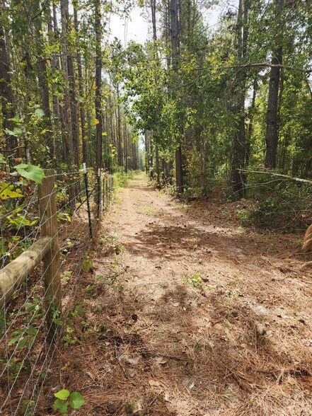 More Photos Of 6939 SW 1 Federal Rd, Lamont Land For Sale